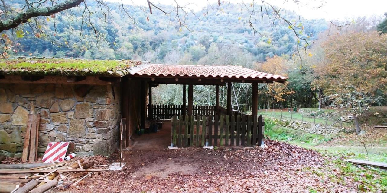 Agricamping Ponteraggio N.1 Hotel Dolceacqua Exterior photo